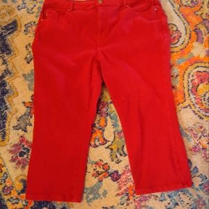Belle by Kim Gravel, Capri Pant size 22 in red.